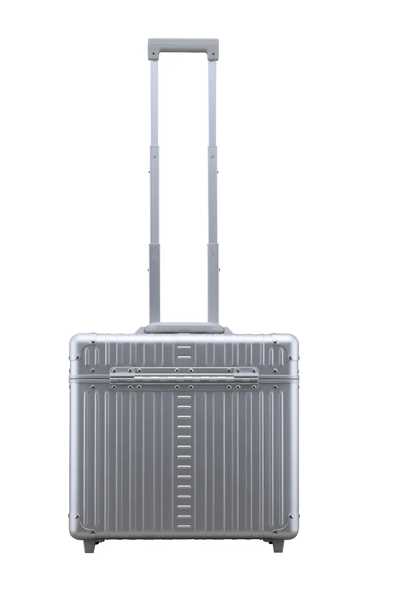 2-Wheel Pilot Case In Platin